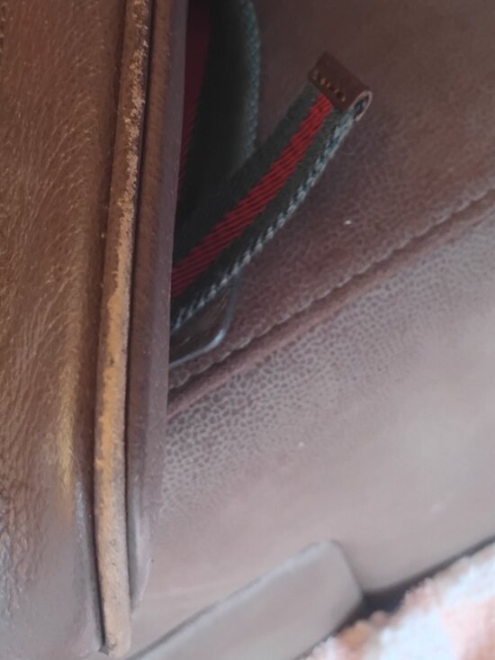 Gucci backpack